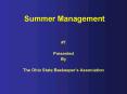 Summer Management PowerPoint PPT Presentation