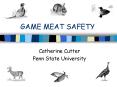 GAME MEAT SAFETY PowerPoint PPT Presentation