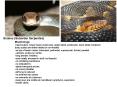 Snakes Suborder Serpentes PowerPoint PPT Presentation