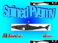 Spined Pygmy PowerPoint PPT Presentation