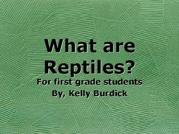 What are Reptiles
