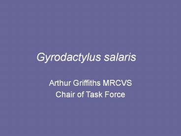 Gyrodactylus salaris