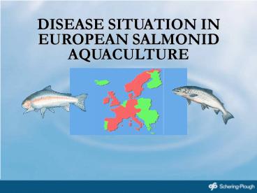 DISEASE SITUATION IN EUROPEAN SALMONID AQUACULTURE