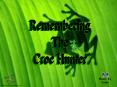 Remembering the Croc Hunter PowerPoint PPT Presentation