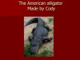 The American alligator Made by Cody PowerPoint PPT Presentation