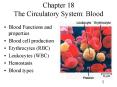 Chapter 18 The Circulatory System: Blood PowerPoint PPT Presentation