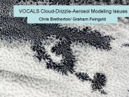 VOCALS Cloud-Drizzle-Aerosol Modeling Issues