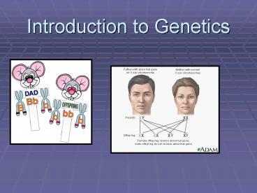 presentation player overlay