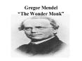 Gregor Mendel The Wonder Monk PowerPoint PPT Presentation