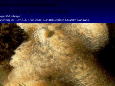 Best Research Practices in Systematic Zoology