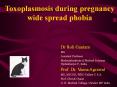 Toxoplasmosis during pregnancy wide spread phobia PowerPoint PPT Presentation