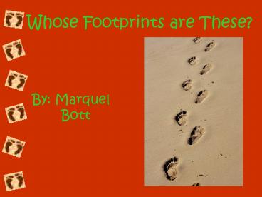 Whose Footprints are These