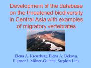 Development%20of%20the%20database%20on%20the