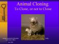Animal%20Cloning:%20To%20Clone,%20or%20not%20to%20Clone PowerPoint PPT Presentation