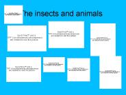 The insects and animals
