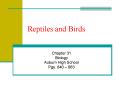 Reptiles and Birds PowerPoint PPT Presentation