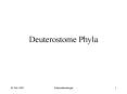 Deuterostome Phyla PowerPoint PPT Presentation