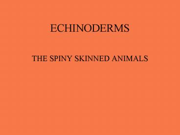 ECHINODERMS