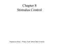 Chapter 8 Stimulus Control PowerPoint PPT Presentation