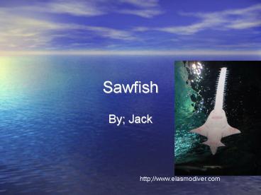 Sawfish