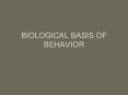 BIOLOGICAL BASIS OF BEHAVIOR PowerPoint PPT Presentation