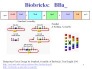 Biobricks:  BBa_