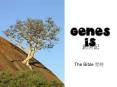 GENESIS PowerPoint PPT Presentation