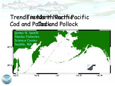 Trends in North Pacific Cod and Pollock