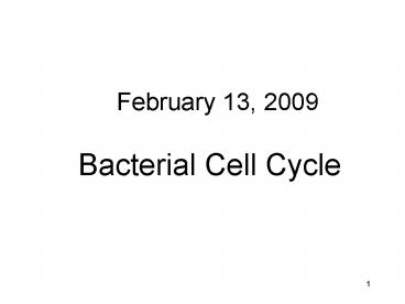 Bacterial Cell Cycle