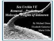 Sea Urchin VE Removal