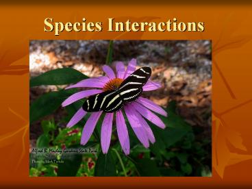 Species Interactions