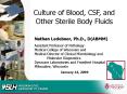 Culture of Blood, CSF, and PowerPoint PPT Presentation
