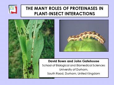 THE MANY ROLES OF PROTEINASES IN PLANTINSECT INTERACTIONS