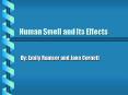Human Smell and Its Effects PowerPoint PPT Presentation