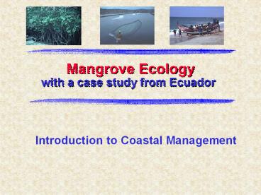 Mangrove%20Ecology
