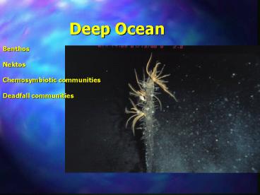 Deep Ocean