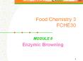Food Chemistry 3 FCHE30 PowerPoint PPT Presentation