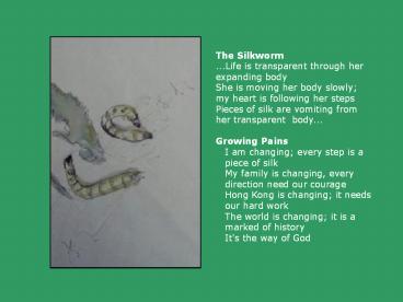 The%20Silkworm