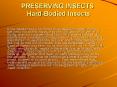 PRESERVING INSECTS HardBodied Insects PowerPoint PPT Presentation