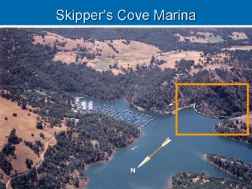 Skippers Cove Marina