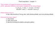 Plant respiration - chapter 11