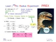 PREX