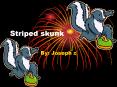 Striped skunk PowerPoint PPT Presentation