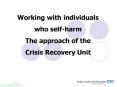 Working with individuals who selfharm The approach of the Crisis Recovery Unit PowerPoint PPT Presentation