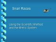 Snail Races PowerPoint PPT Presentation