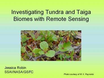 Investigating Tundra and Taiga Biomes with Remote Sensing