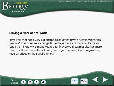 Leaving a Mark on the World