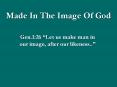 Made In The Image Of God PowerPoint PPT Presentation