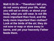 Matt 6:25-34 