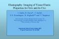 Elastography: Imaging of Tissue Elastic Properties In-Vitro and In-Vivo PowerPoint PPT Presentation